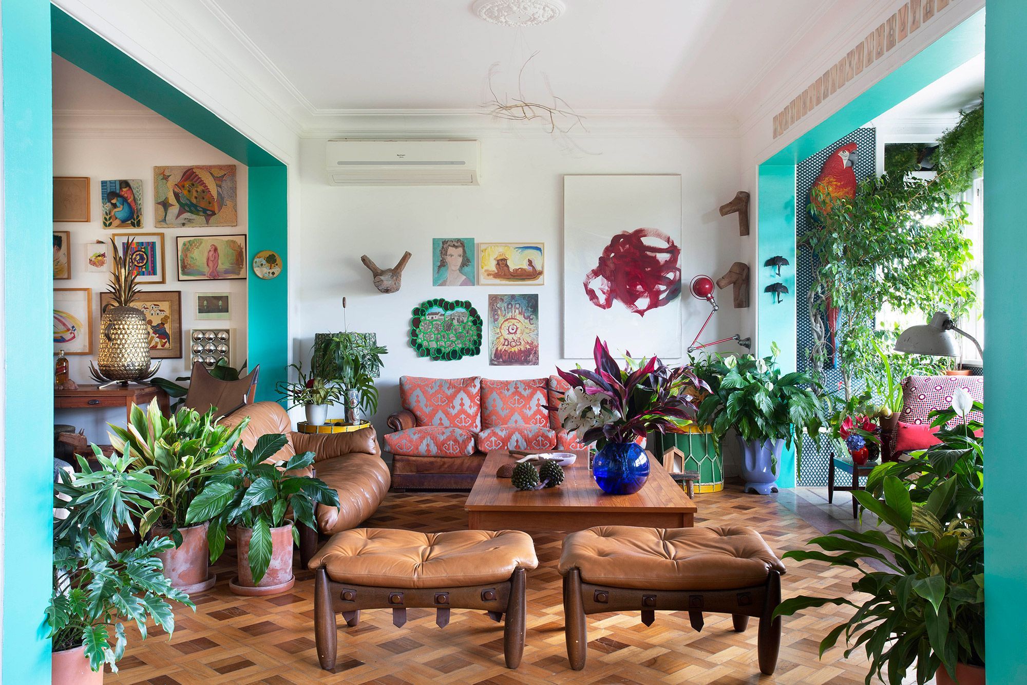 plantas purificam o ar