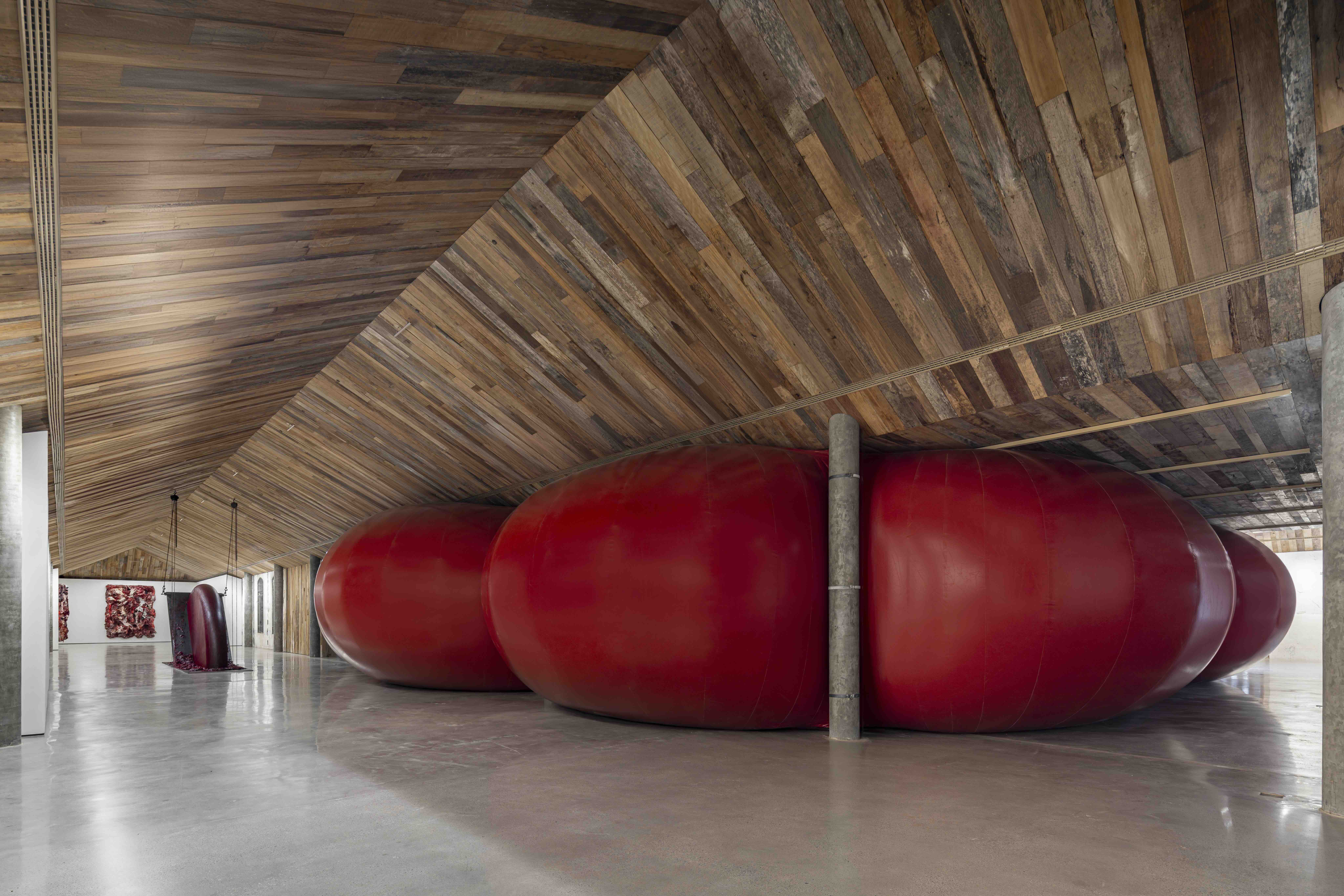Anish Kapoor Casa Bradesco