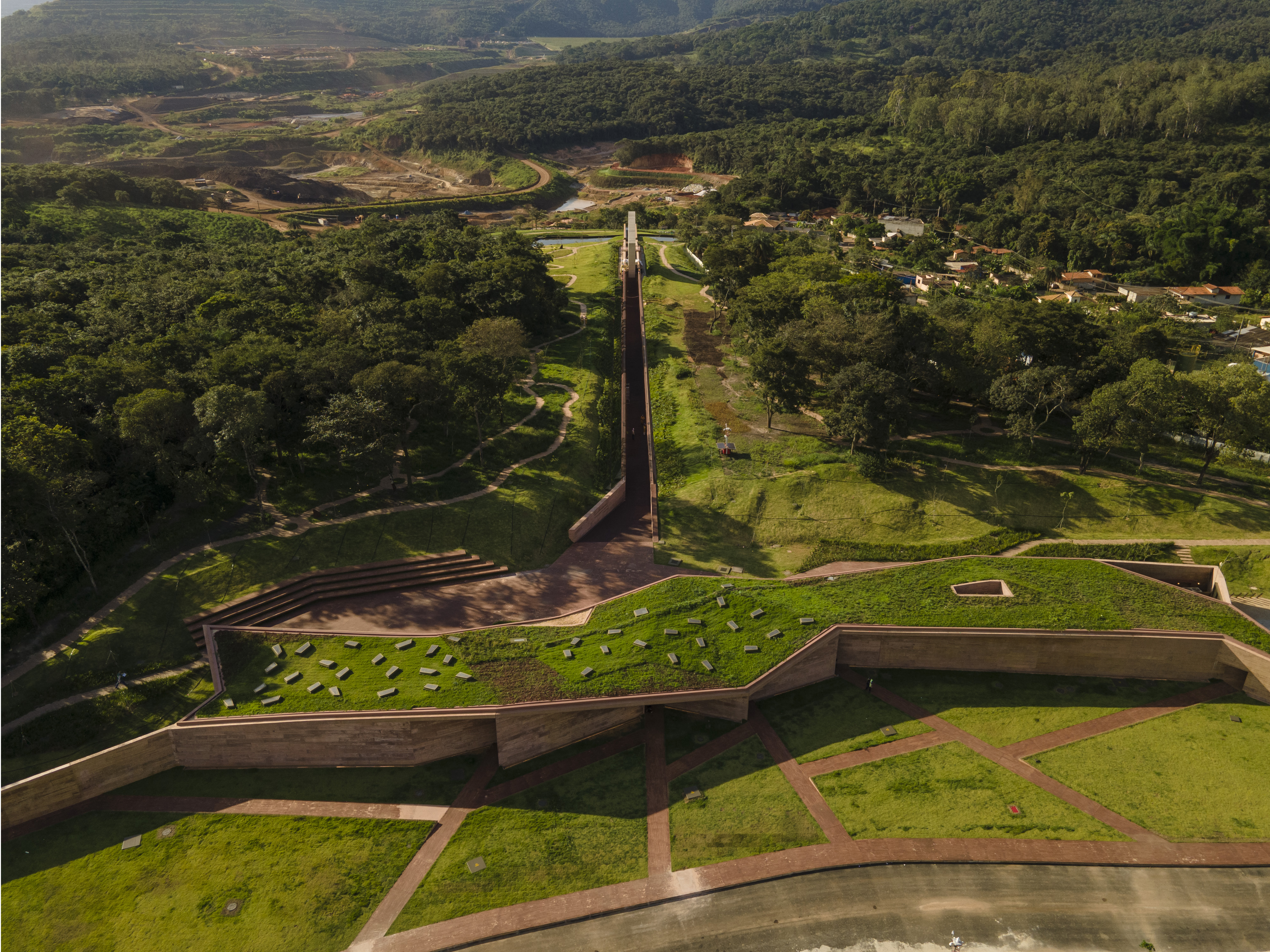 Bosque com Ipês