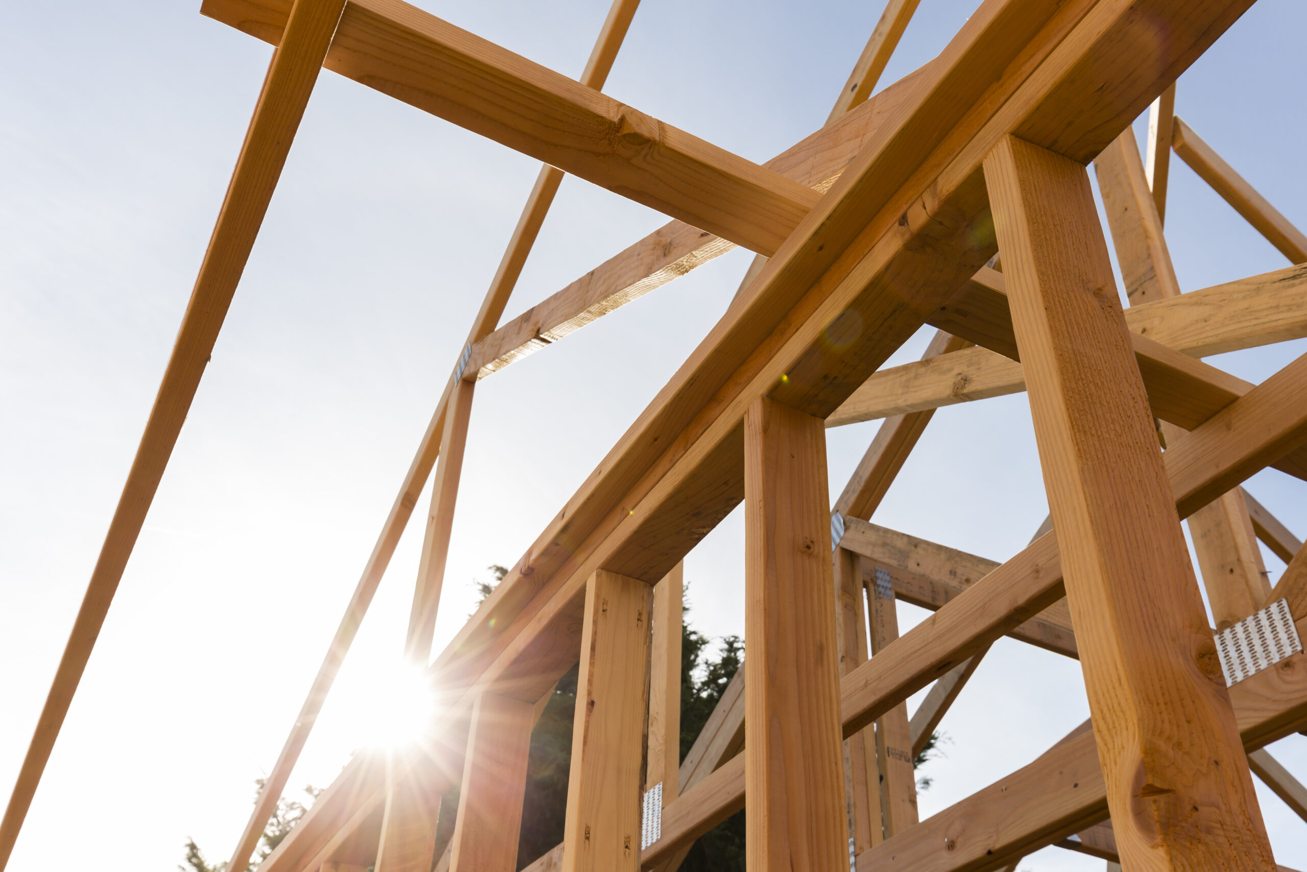 wood frame